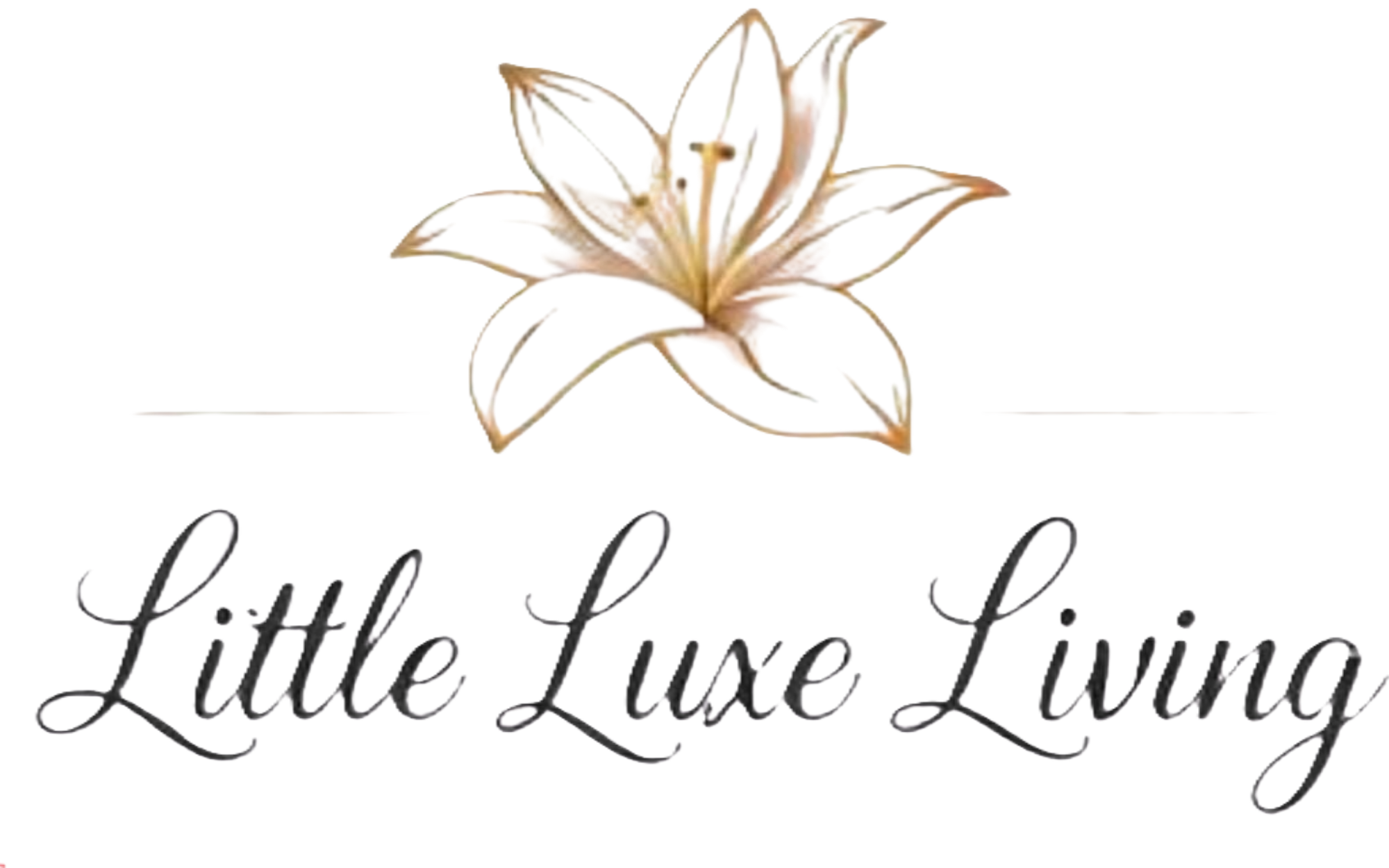 Little Luxe Living
